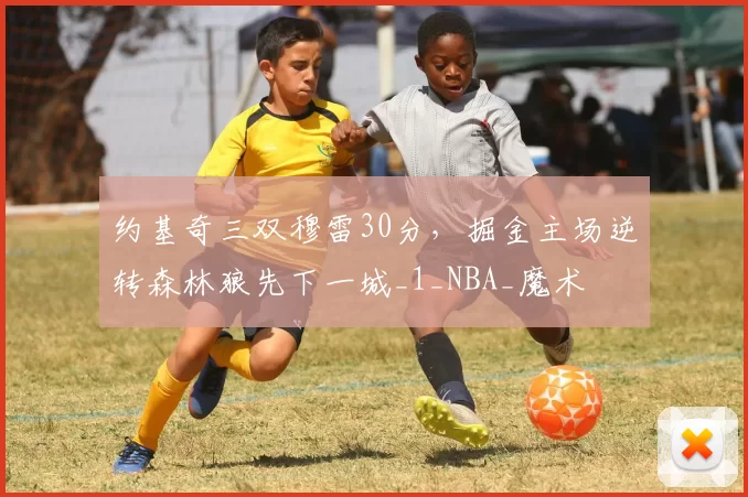 约基奇三双穆雷30分，掘金主场逆转森林狼先下一城_1_NBA_魔术