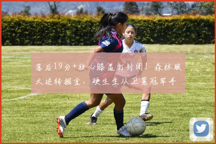 落后19分+核心膝盖打封闭！森林狼大逆转掘金，硬生生从卫冕冠军手里抢回一场胜利！_戈贝尔_爱德华兹_NBA