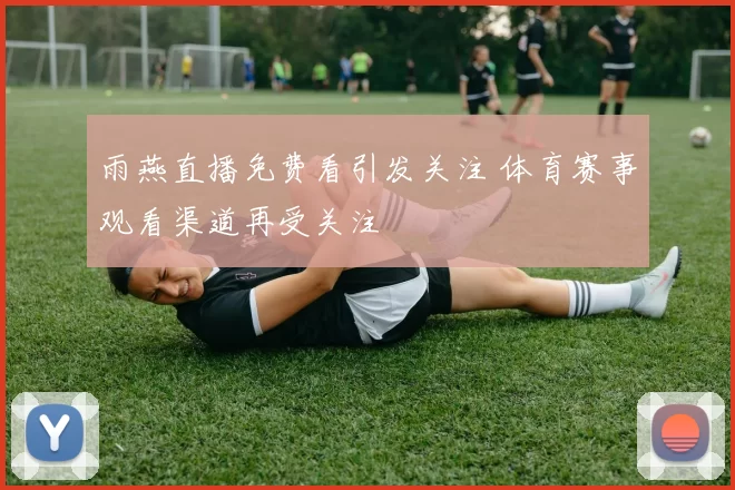 雨燕直播免费看引发关注 体育赛事观看渠道再受关注